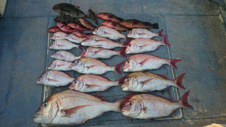 FISHING RISKY 釣果