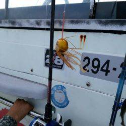 海季丸(みきまる) 釣果