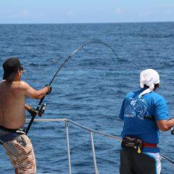 へいみつ丸 釣果
