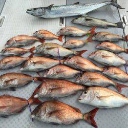 ミタチ丸 釣果