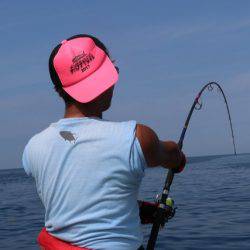 へいみつ丸 釣果