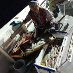 第二大福丸 釣果