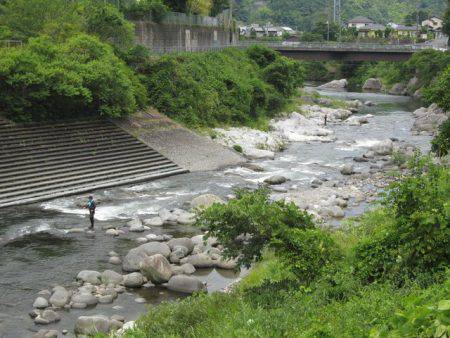 狩野川(狩野川漁業協同組合) 釣果