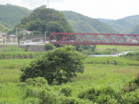 狩野川(狩野川漁業協同組合) 釣果