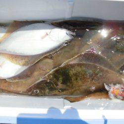 大進丸(新潟) 釣果