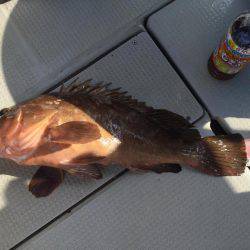 Fisherman Dreams DI 釣果