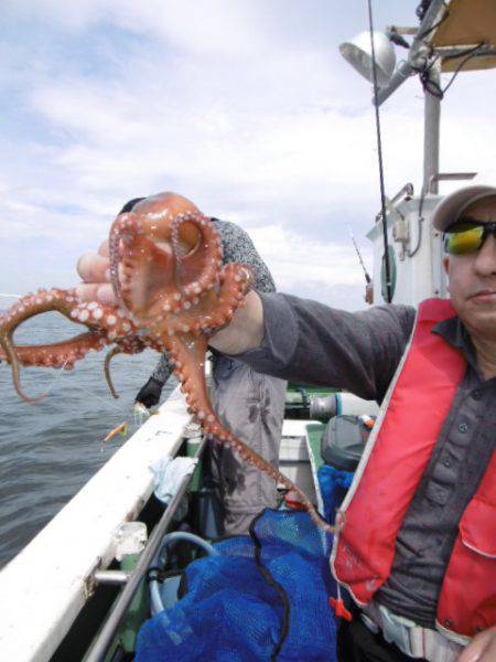 かもめ釣船 釣果