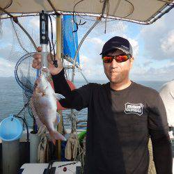 sea boss シーボス 釣果