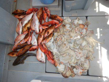 sea boss　シーボス 釣果