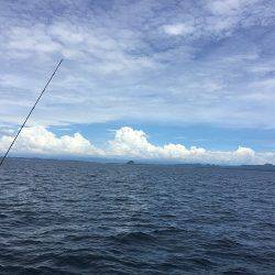 sea boss　シーボス 釣果