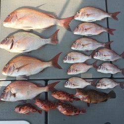 sea boss　シーボス 釣果