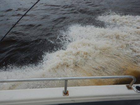 sea boss　シーボス 釣果