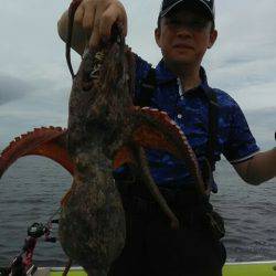 横内丸 釣果