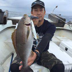 マタウマリンサービス 釣果