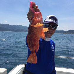 マタウマリンサービス 釣果