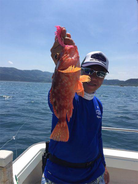 マタウマリンサービス 釣果