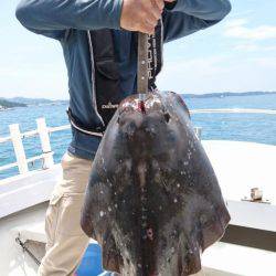 オーフリー 釣果