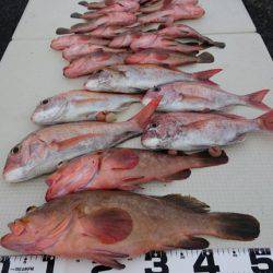 オーフリー 釣果