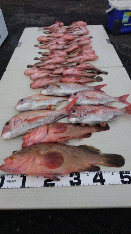 オーフリー 釣果