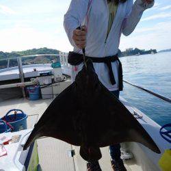 オーフリー 釣果