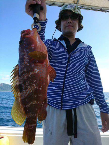 マタウマリンサービス 釣果