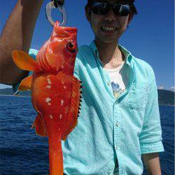 マタウマリンサービス 釣果