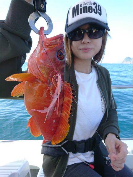 マタウマリンサービス 釣果