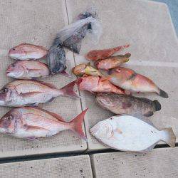 旭星釣りセンター 釣果