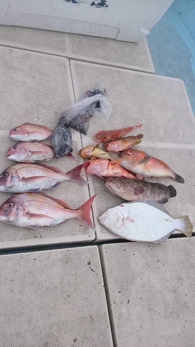 旭星釣りセンター 釣果