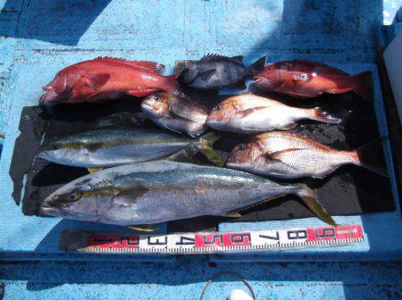 海宝丸 釣果