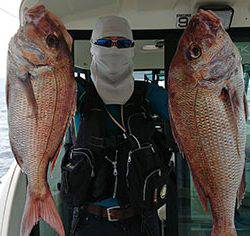 松本釣船２ 釣果