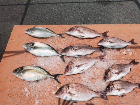 松名瀬フィッシングパーク 釣果