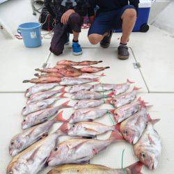 オーフリー 釣果