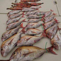 オーフリー 釣果