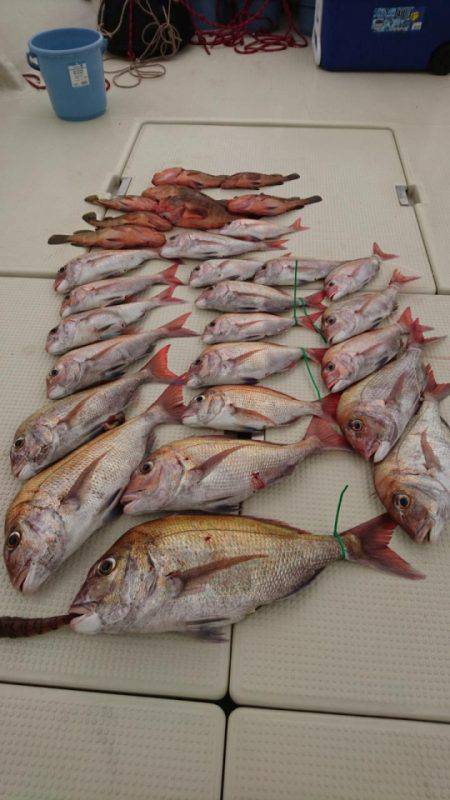 オーフリー 釣果