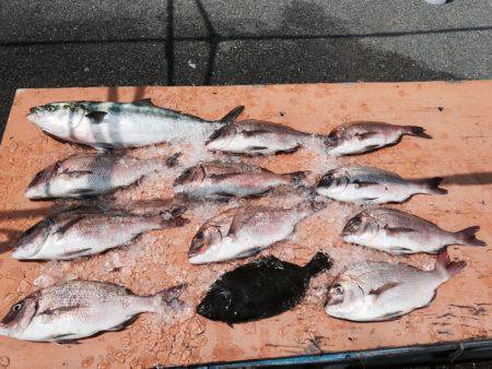 松名瀬フィッシングパーク 釣果