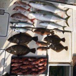 さぶろう丸 釣果