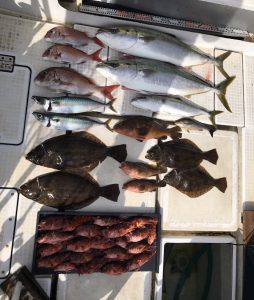 さぶろう丸 釣果