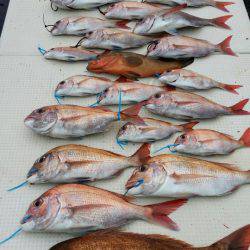 オーフリー 釣果