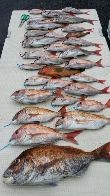 オーフリー 釣果