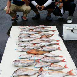 オーフリー 釣果