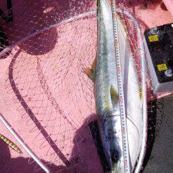 第八平成丸 釣果