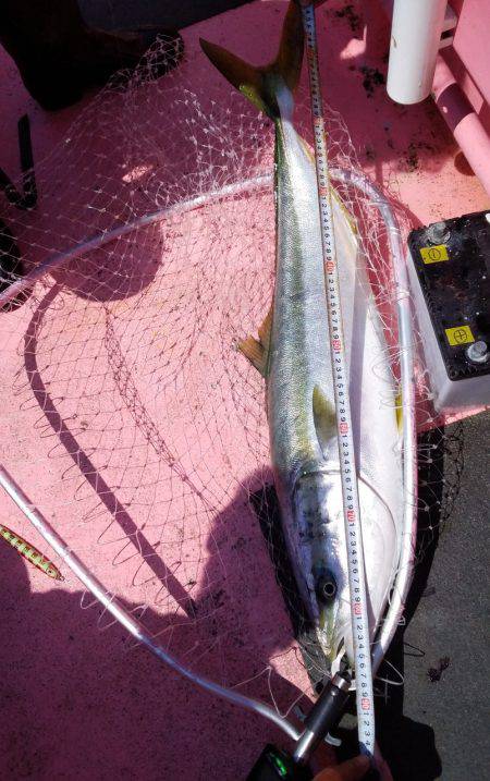 第八平成丸 釣果