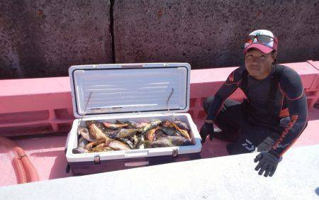 第八平成丸 釣果