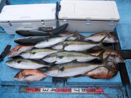 海宝丸 釣果