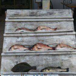 松名瀬フィッシングパーク 釣果