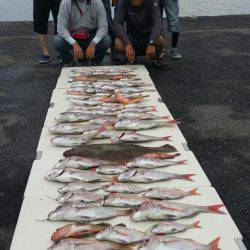 オーフリー 釣果