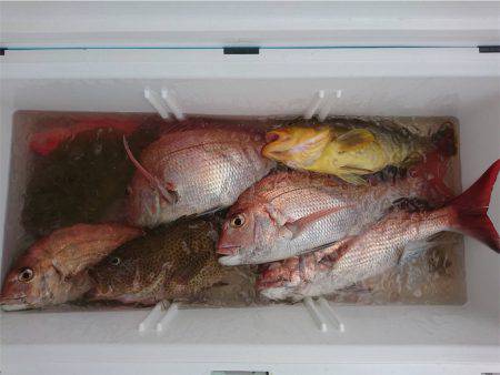 マタウマリンサービス 釣果