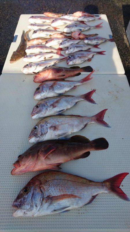 オーフリー 釣果