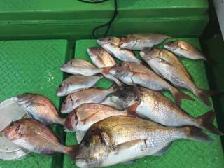 利弥丸（としやまる） 釣果